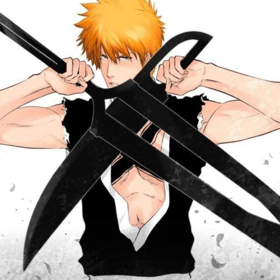 Double Zanpakuto Ichigo Bleach